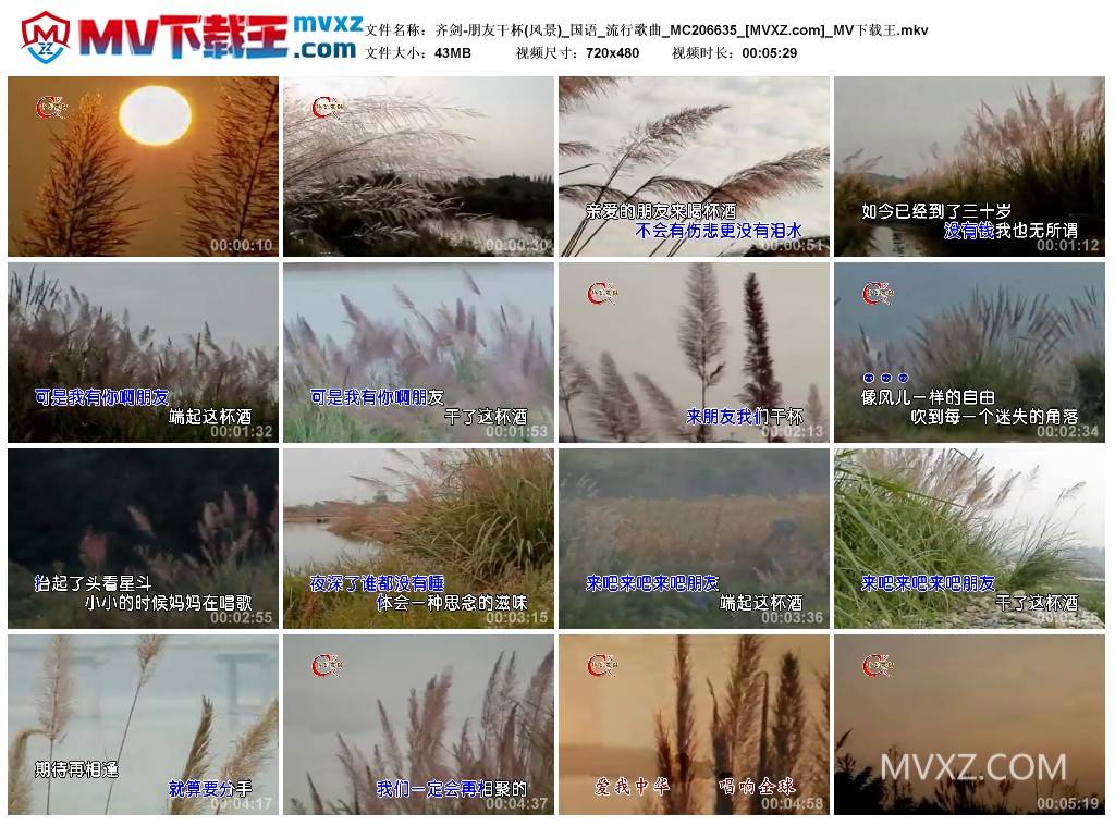 齐剑-朋友干杯(风景)_国语_流行歌曲_MC206635